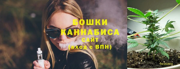 шишки Армянск