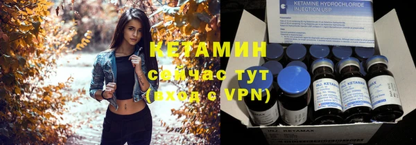 шишки Армянск