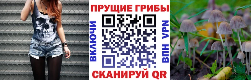 Галлюциногенные грибы Magic Shrooms  omg ссылка  Павловск 